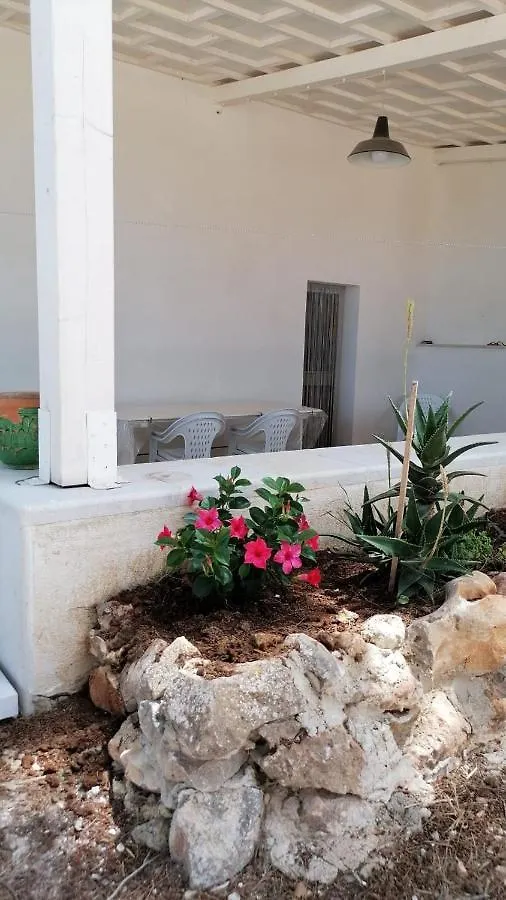 Cofano Home كوستوناتشي